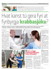 Síða 14