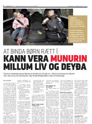 Síða 8