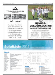Síða 15