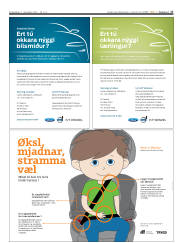 Síða 17
