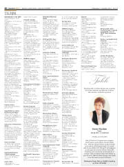 Síða 20