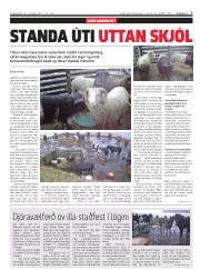 Síða 7