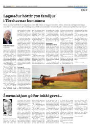 Síða 12