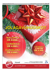 Síða 13