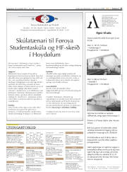 Síða 17