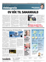 Síða 2