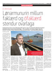 Síða 13