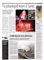 Síða 15