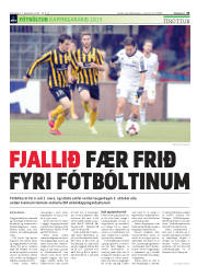Síða 21