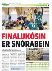 Síða 22