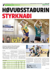 Síða 23
