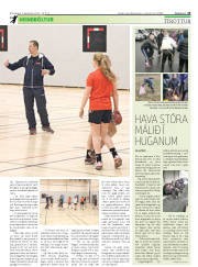 Síða 25