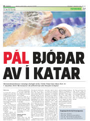 Síða 30