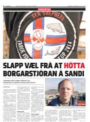 Síða 6