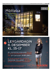 Síða 15