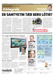 Síða 2
