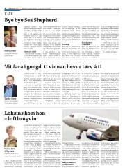 Síða 8