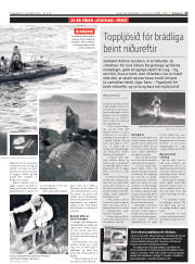 Síða 15