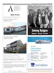 Síða 19