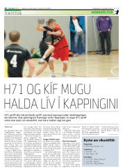 Síða 22