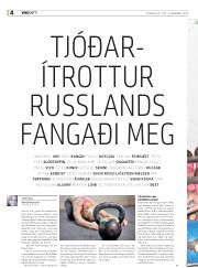 Síða 28
