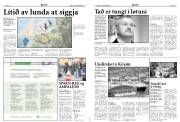Síða 8