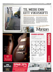 Síða 21