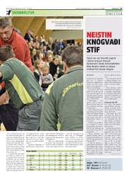 Síða 27