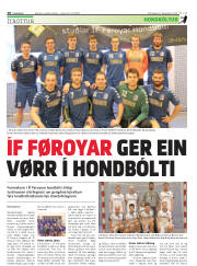 Síða 28