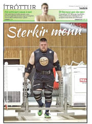 Síða 32