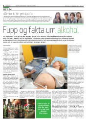 Síða 8