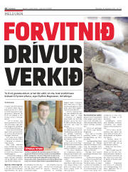Síða 14