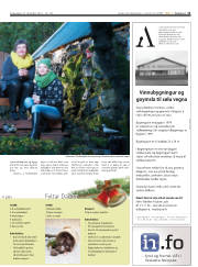 Síða 11
