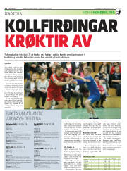 Síða 14