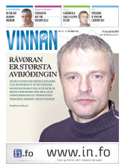 Síða 17
