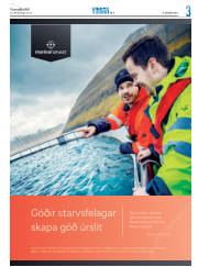 Síða 19