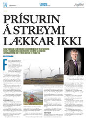 Síða 30