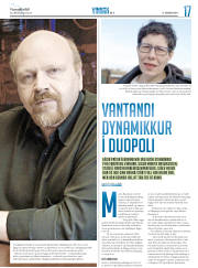 Síða 33
