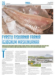 Síða 36