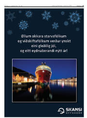 Síða 13