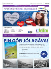 Síða 29