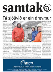 Síða 41