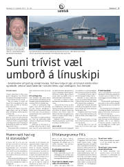 Síða 45