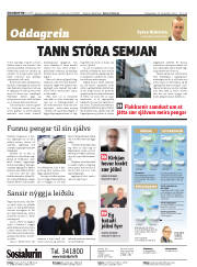 Síða 2