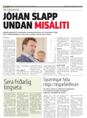 Síða 6
