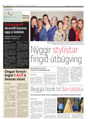 Síða 8