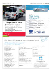 Síða 13