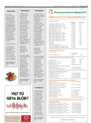 Síða 17