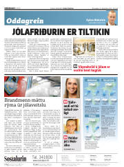 Síða 2