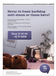 Síða 15